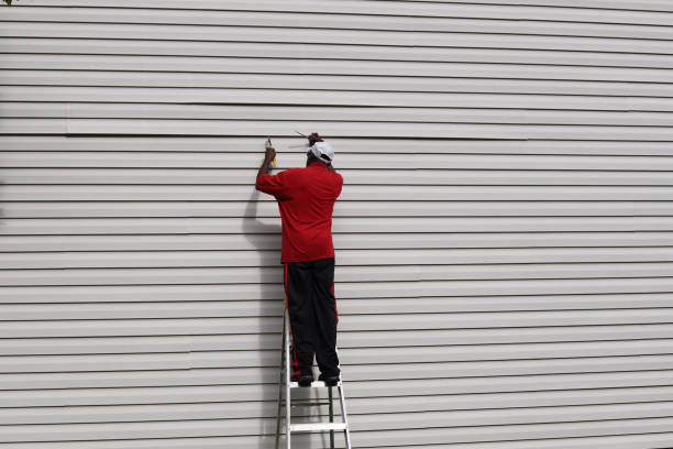 Best Vinyl Siding Installation  in Sterling, GA